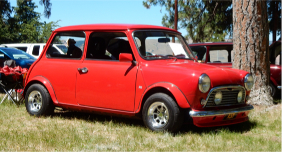 williams_mini